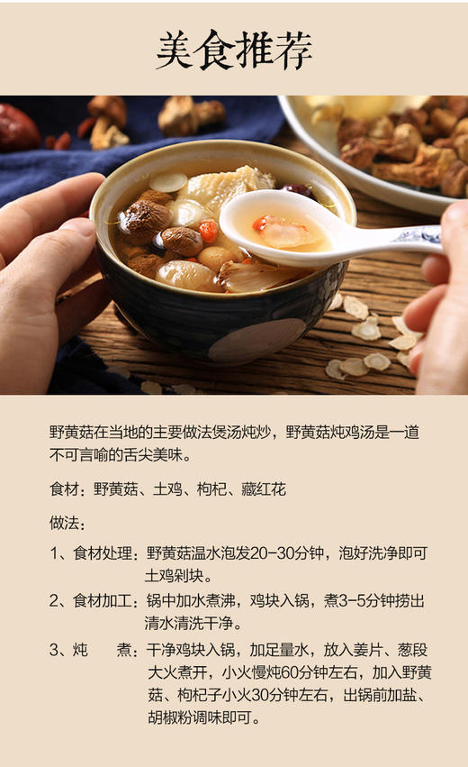 青海野黄菇雪山野生干黄菇50克