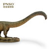 PNSO恐龙博物馆三角龙多利/马门溪龙尔玛1:35科学艺术模型 商品缩略图4