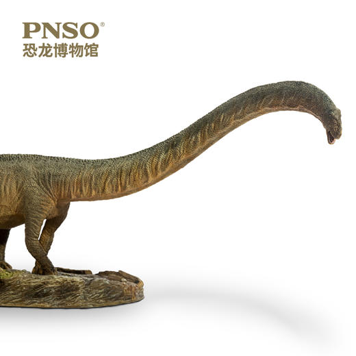 PNSO恐龙博物馆三角龙多利/马门溪龙尔玛1:35科学艺术模型 商品图4