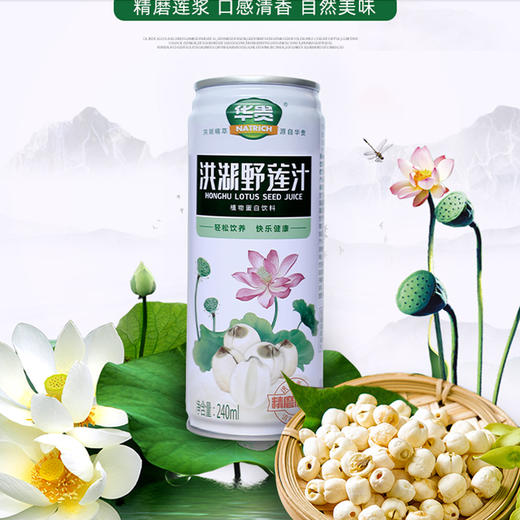 （洪湖）华贵洪湖野莲汁240ml （新老包装随机发） 商品图2
