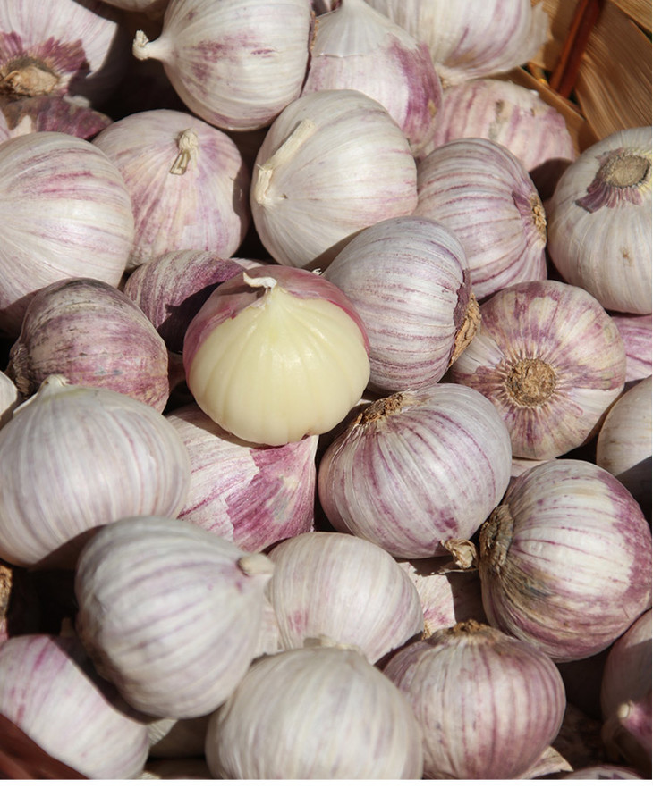 农家种植紫皮独头蒜一头一瓣近似球形蒜香浓郁比普通蒜更辛辣250g