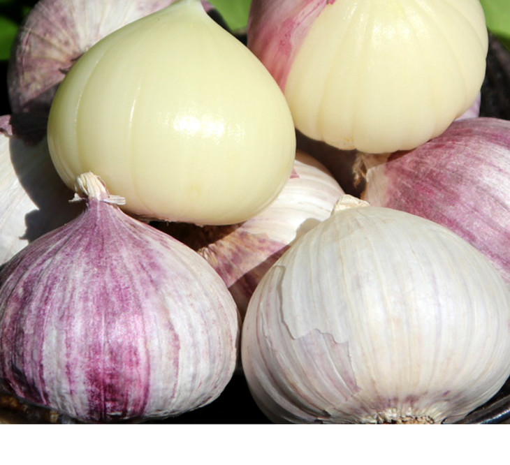 农家种植紫皮独头蒜一头一瓣近似球形蒜香浓郁比普通蒜更辛辣250g