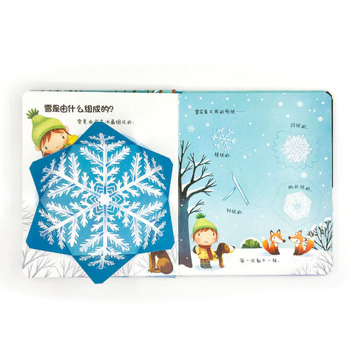 你问我答科普翻翻书是什么系列 雪是什么 商品图1