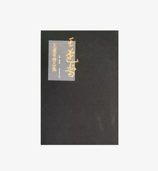 王蘧常精品集  正版图书，折扣销售中.... 八开精装 河北美术出版社 商品图0
