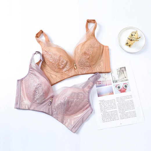 【秒杀品不退不换】皇家丽美无钢圈薄杯文胸调整收副乳聚拢撞棉杯文胸WW1659-1 商品图1