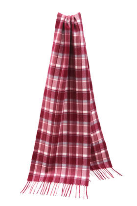 内购会第2波来袭~