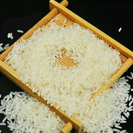 海伦县半亩田5kg富硒稻花香大米 商品图2