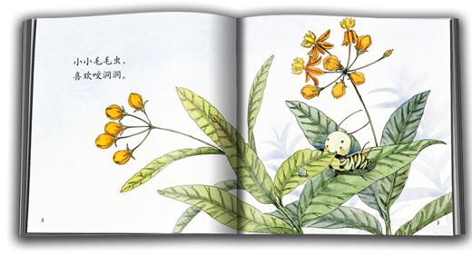 乐悠悠启蒙图画书系列——《蝴蝶小谣曲》（0-4岁） 商品图1