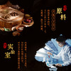 【械字号冷敷敷料】肌肤之食灰指甲膏——安全无痛，持久渗透 商品缩略图5