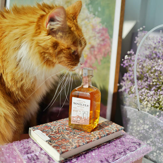 英国NOVELTEA冷萃茶酒薄荷朗姆威士忌250ml(T) 商品图8