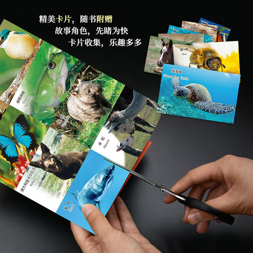 《动物成长故事第三辑》（外研社双语故事屋） 商品图7