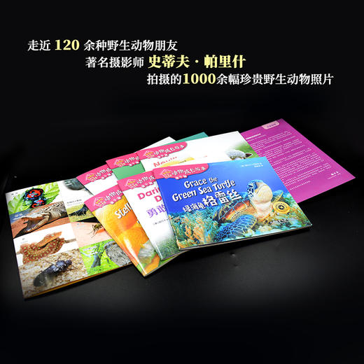 《动物成长故事第十辑》（外研社双语故事屋） 商品图4