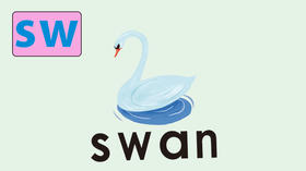 swan