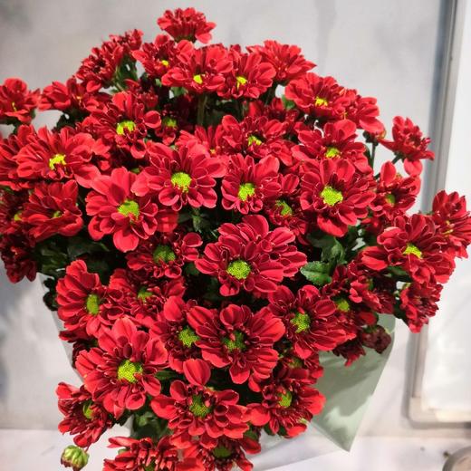 菊花-多头小菊-铁锈红-10枝/扎 商品图1