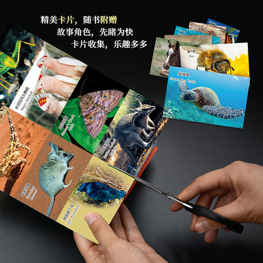 《动物成长故事第六辑》（外研社双语故事屋） 商品图7