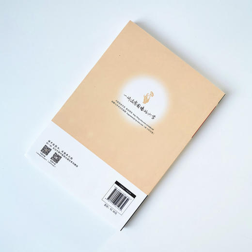 纬脉针灸特效疗法精要. 非疼痛篇【贾海忠】 商品图2