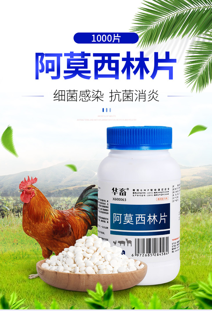 华畜兽用阿莫西林片1000片瓶光谱抗菌药大肠杆菌沙门氏菌鸡开口药
