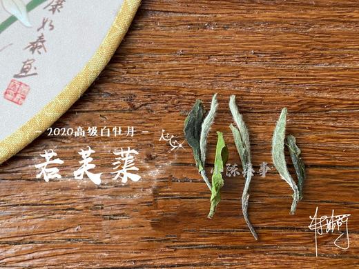 2020高级白牡丹《若芙蕖》，李渔笔下娇俏欲滴的袅娜之姿 商品图3