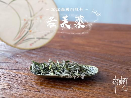 2020高级白牡丹《若芙蕖》，李渔笔下娇俏欲滴的袅娜之姿 商品图1