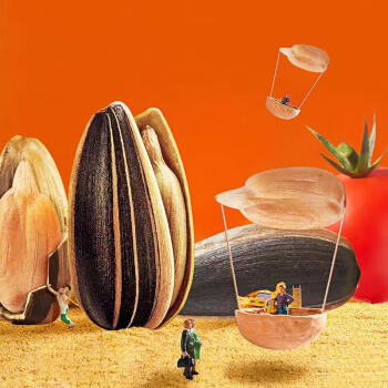 洽洽 创新空间风味瓜子 黑糖/山核桃/焦糖 500g*2 商品图6