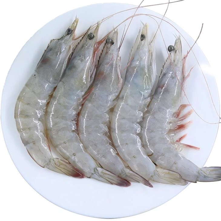 厄瓜多尔白虾新鲜海捕冰鲜活冷冻虾顺丰