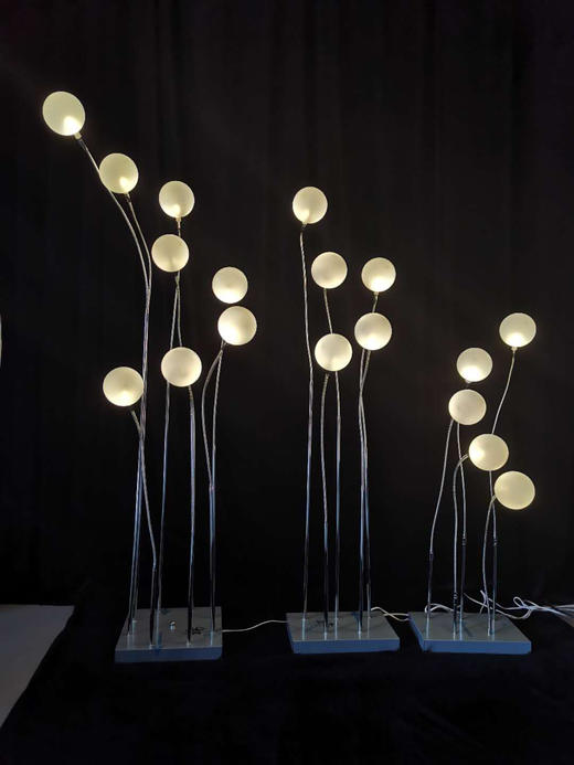 软管球泡龙珠路引（可任意弯曲）【运费自理】 商品图2