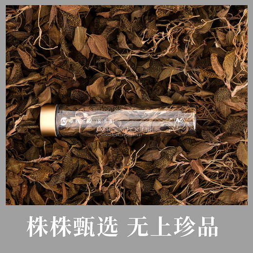 中科三安有机金线莲干品3g*8罐 商品图3