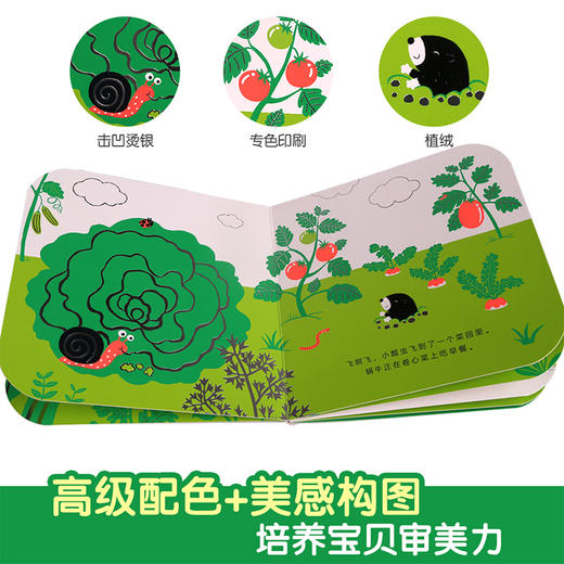 触摸大自然的色彩Ⅱ-小瓢虫，飞啊飞 原价66 商品图3