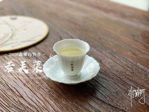 2020高级白牡丹《若芙蕖》，李渔笔下娇俏欲滴的袅娜之姿 商品图9