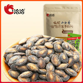 洽洽品牌540g小而香袋中袋