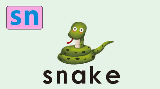 snake 商品图0