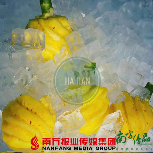 【珠三角包邮】泰国小菠萝 2-4个/ 包  2包/ 份（次日到货） 商品图2
