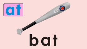 bat