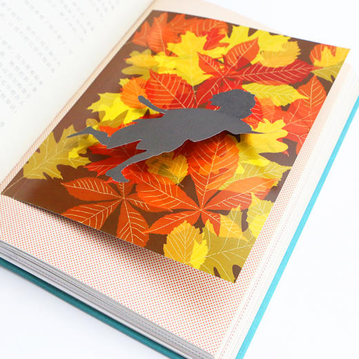 我爱读经典：彼得·潘  浪花朵朵  后浪出版 商品图5