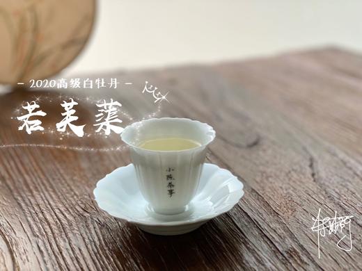 2020高级白牡丹《若芙蕖》，李渔笔下娇俏欲滴的袅娜之姿 商品图10