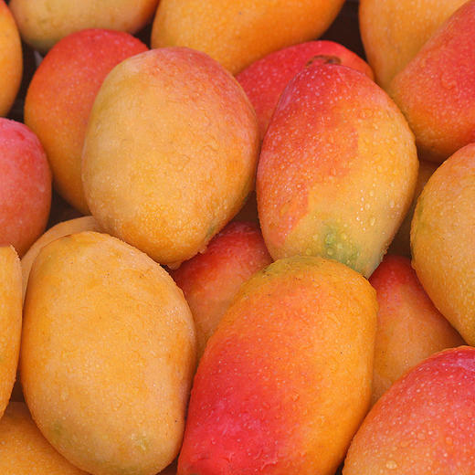 云南金凤凰芒果5斤一口下去全是多汁果肉又奶又甜