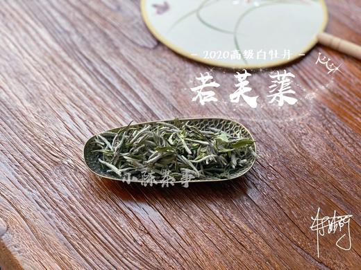 2020高级白牡丹《若芙蕖》，李渔笔下娇俏欲滴的袅娜之姿 商品图2