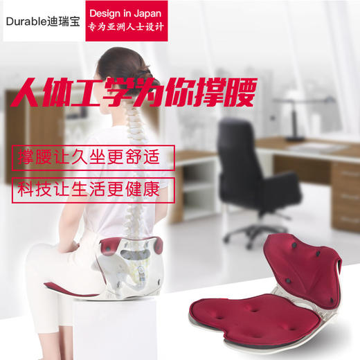 Durable可折叠便携正姿护腰坐垫 商品图3