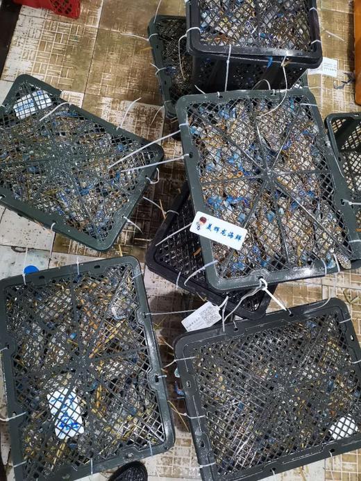 特大兰花蟹，1斤2一3个 商品图1