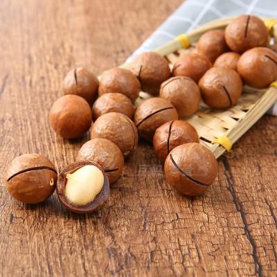 洽洽品牌创新空间奶香味夏威夷果98g 商品图7