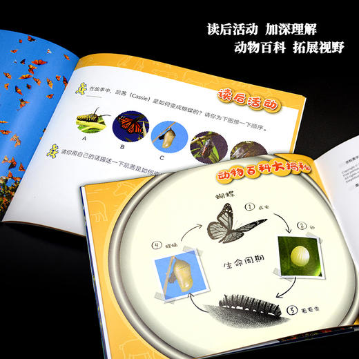 《动物成长故事第四辑》（外研社双语故事屋） 商品图6