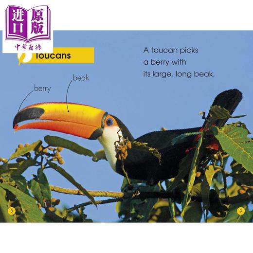 【中商原版】丛林动物 DK Readers Level1 Jungle AnImals DK小读本1级 儿童科普分级读物 丛林动物科普 精装 英文原版 9岁以上 DK 商品图3