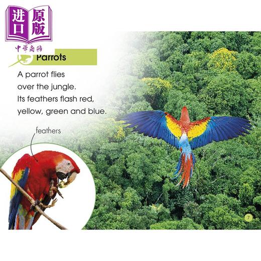 【中商原版】丛林动物 DK Readers Level1 Jungle AnImals DK小读本1级 儿童科普分级读物 丛林动物科普 精装 英文原版 9岁以上 DK 商品图2