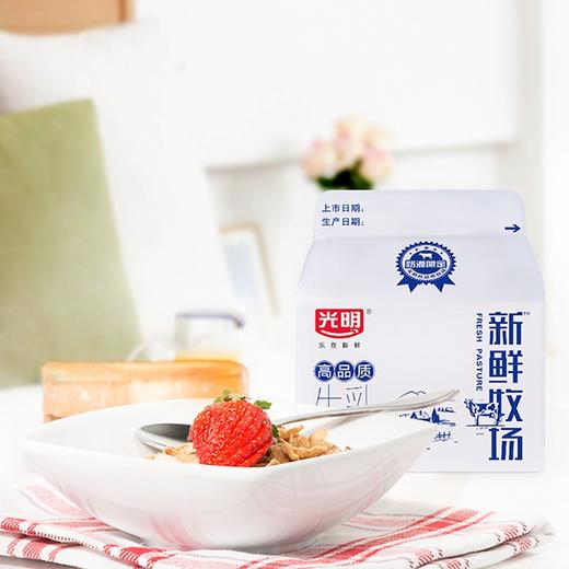 爆品秒杀~【光明小方盒纯牛奶】 200ml/盒*8/16/24 高品质牛乳  高温杀菌乳 商品图8