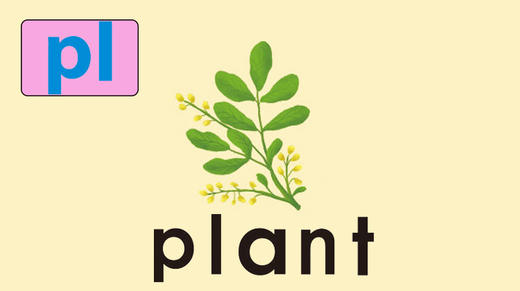 plant 商品图0