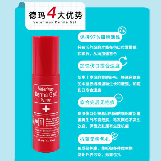 德玛小红瓶 宠物外伤如抓伤 咬伤 擦伤 蚊虫叮咬 烫伤都可使用 商品图2