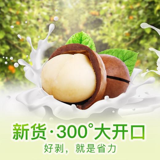 百草味 （夏威夷果108g 开心果108g 东北松子88g） 2份608g  商品图6