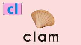 clam