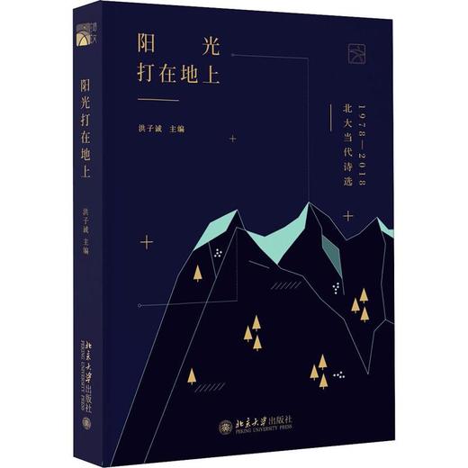 阳光打在地上 北大当代诗选 1978-2018 商品图0