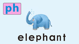 elephant